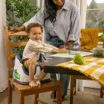 Ingenuity Baby Base Portatif Mama Sandalyesi Night Sky