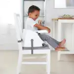 Ingenuity Baby Base Portatif Mama Sandalyesi Peony