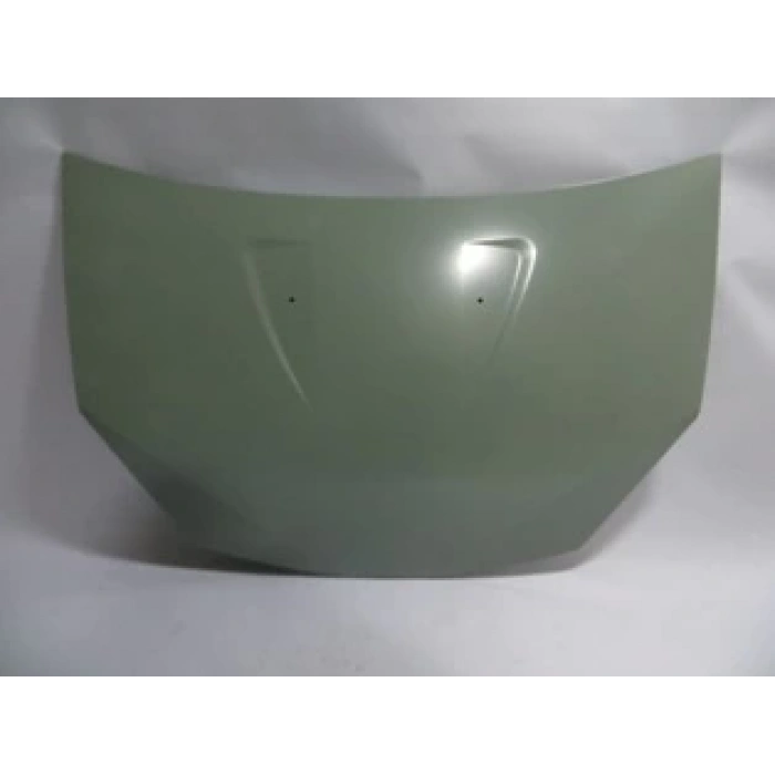 DACIA SANDERO- 09/12; MOTOR KAPUTU GRİ BOYALI (İCELİ/TENASONLU) (SIMYI)