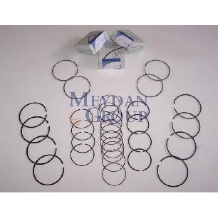 TOYOTA HILUX- PICK UP LN106- 89/97; SEGMAN STD (3L) 2.8cc (96X2X2X4) (HY)