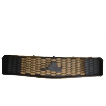 FORD MUSTANG- 05/09; ÖN PANJUR SIYAH (SIS DELIKSIZ) (TW)