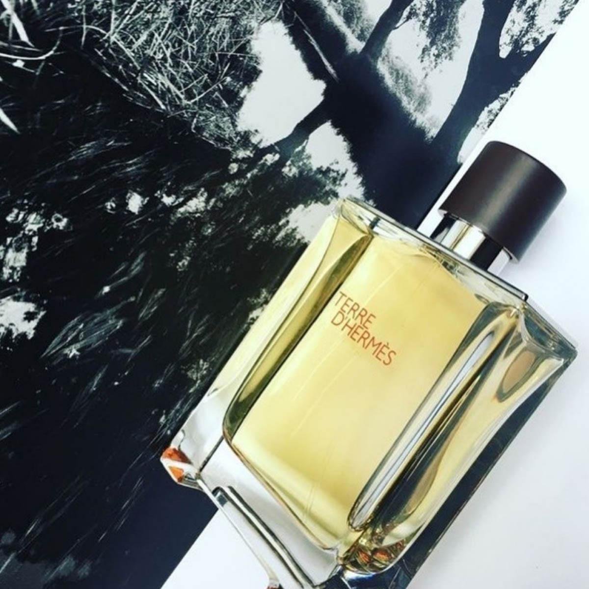 Hermes Terre Dhermes Edp 100 Ml Erkek Parfüm 1716