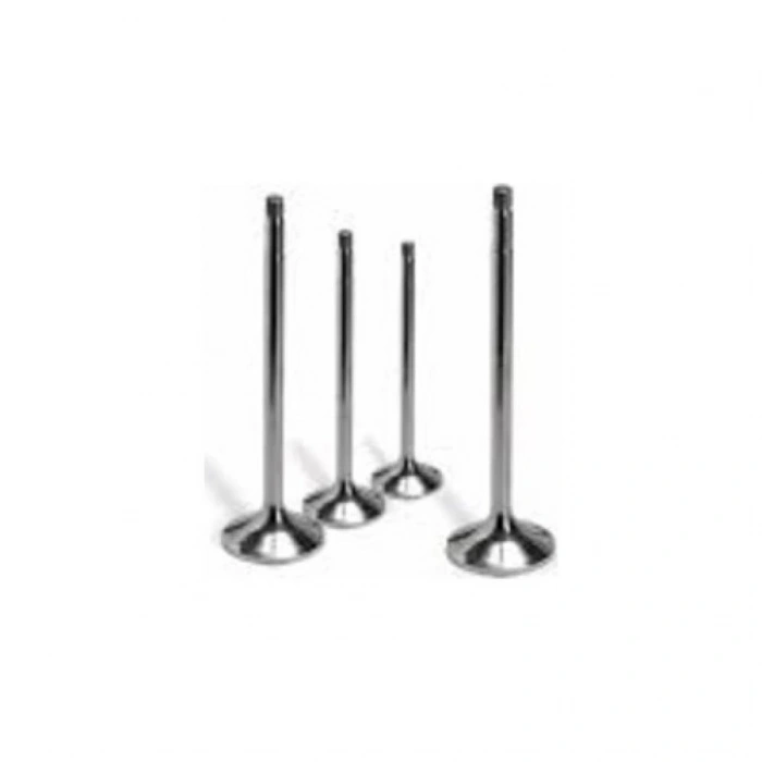 SUBAP TAKIM MİTSUBİSHİ L300 98-05 YM. /STAREX TCİ 8V /3634-3635