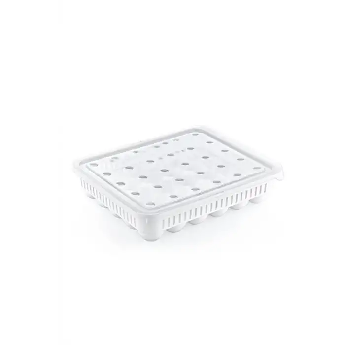 New 30lu Yumurta Saklama Kabı