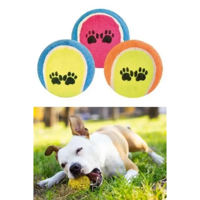 New  3lü Renkli Desenli Tenis Topu Kedi Köpek Oyuncağı
