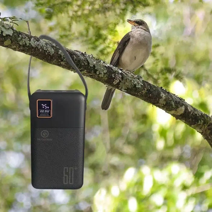 New 60000 mAh 5 Cep telefonunu Aynı Anda Şarj Edebilen Pil Ekranlı El Fenerli Hızlı Şarjlı Powerbank