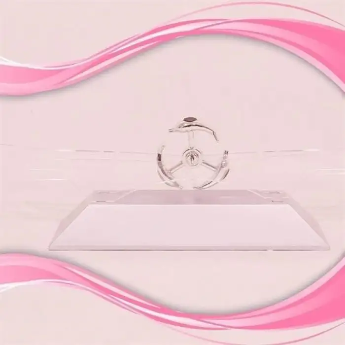 New Dekoratif Masa Üstü Obje Manyetik Kinetik Orbital Dönen Yunuslar