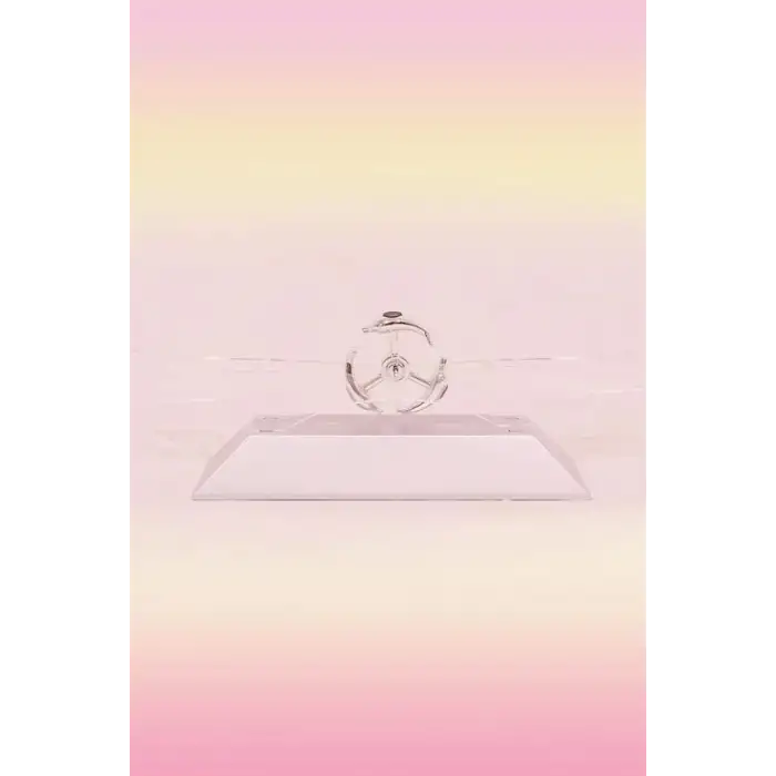 New Dekoratif Masa Üstü Obje Manyetik Kinetik Orbital Dönen Yunuslar