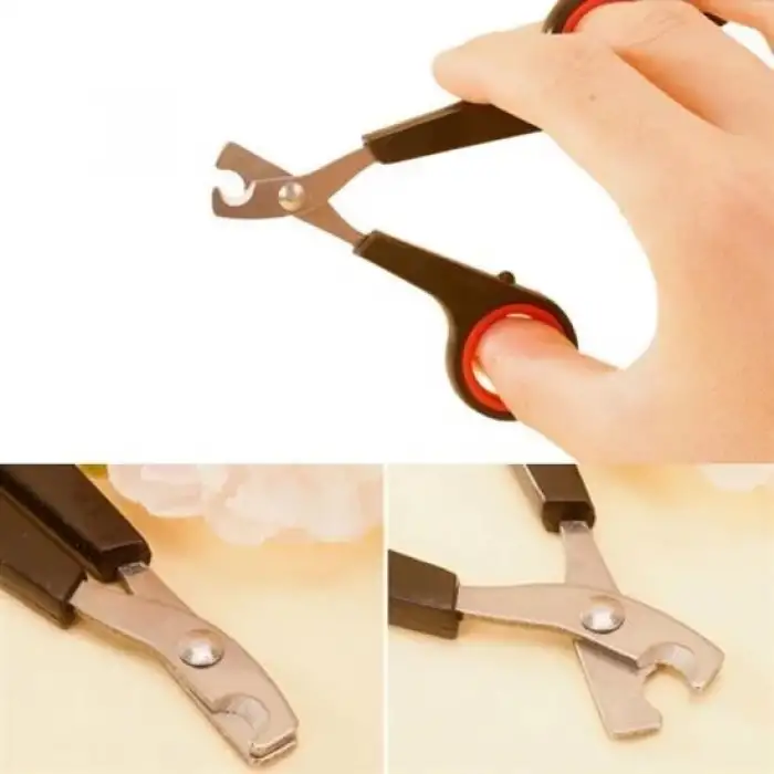 New Evcil Hayvan Tırnak Makası Ve Törpü Seti Manikür Pedikür Pati Bakım Aleti Kaymaz Sap