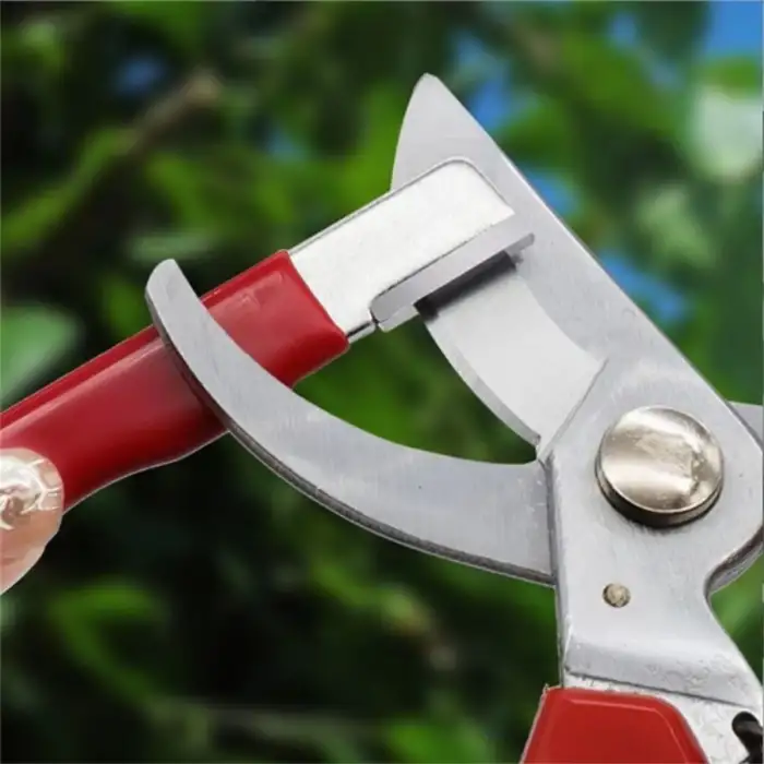 New Koruyucu Kapaklı Keskin Makas Budama Makası Bıçak Bileme Aparatı Bileyici