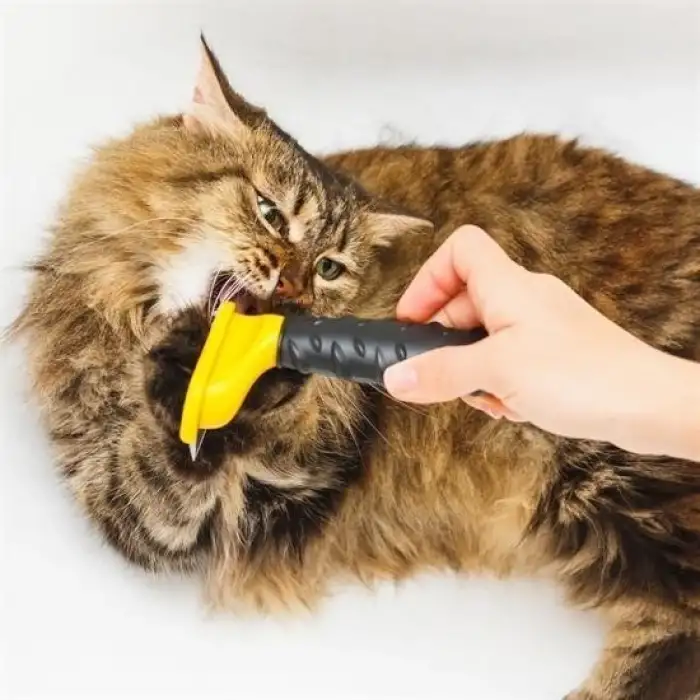 New Uzun Tüylü Köpekler İçin Kolay Tarama Fırçası Temizlenebilir Çelik Tarak Tüy Toplayıcı Mediu