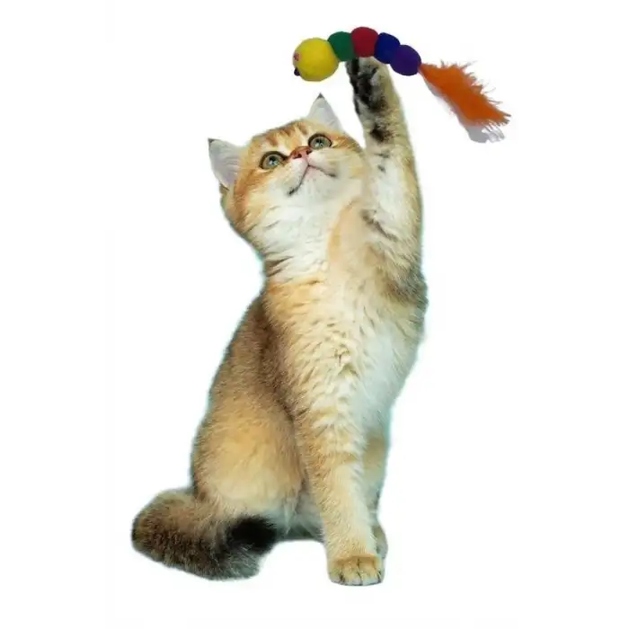 New Yumuşacık İpli Tırtıl Şeklinde Rengarenk Sevimli Evcil Hayvan Oyuncağı
