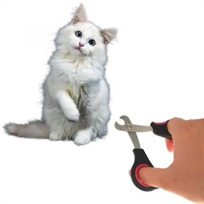 Buffer Büyük Irk Köpek Kedi Çelik Uçlu Evcil Hayvan Tırnak Makası Pati Bakım Aleti Ergonomik Kaymaz