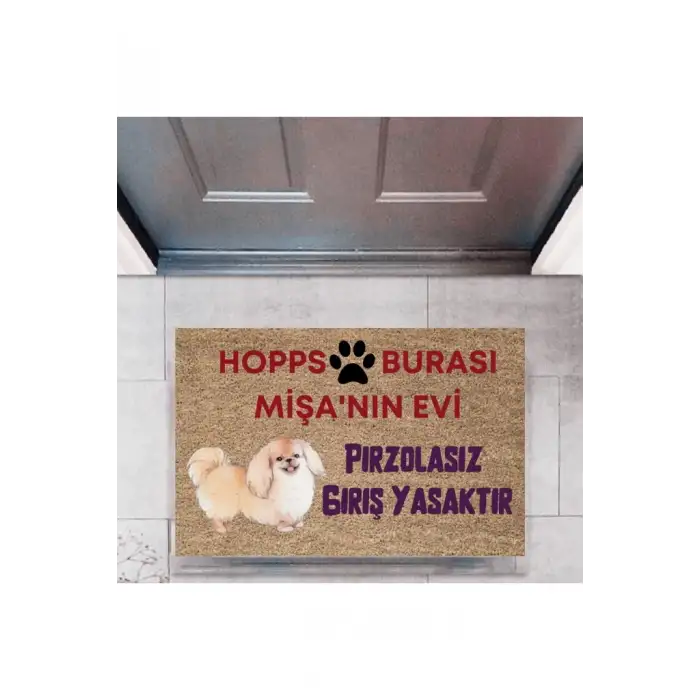 Kapı Önü Paspası Dekoratif Dijital Baskı Hopps  P-2474