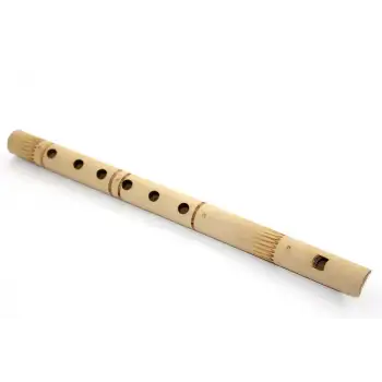 Bambu Filüt 30 Cm Repot-6