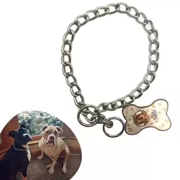 New 65 cm Uzunlukta Zincir Model Köpek İçin Boyun Tasması