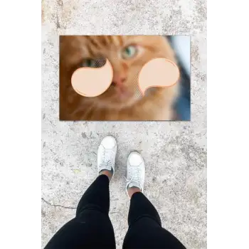 Dijital Baskı Renkli Kedili Desen Kapı Önü Paspası K-1034