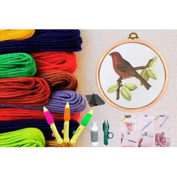 Punch Seti Nakış Seti Kasnaklı Kendin Yap Seti Seri 24