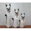 Ahşap 3lü Kedi Seti 50 Cm Okas:1