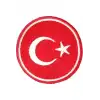 Aplike Ütü İle Yapışan Türk Bayrağı Yuvarlak Küçük Arma 3 cm