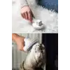 New Basmalı Kedi Köpek Tüy Toparlayıcı Masaj Etkili Pet Fırçası