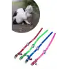 New Çıngıraklı Zilli Sevimli Renkli Slikon Kedi Köpek Boyun Tasması
