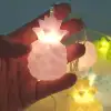 New Karışık Renk Dekoratif Ananas Dolama 10’lu Şerit Led Işık Zinciri