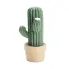 New Mini Kaktüs Dekoratifli Pilli Led Masa Gece Lambası Aydınlatma
