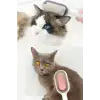 New Su Hazneli Kedi ve Köpek Tüyü Toplamama Fırçası Su Hazneli Pet Tarağı