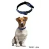 New Yumuşak Dokulu Deri Köpek Gezdirme Boyun Tasması (Large)