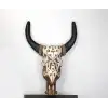 Dua Asmalı Bufalo Kafası 4galıleo-6