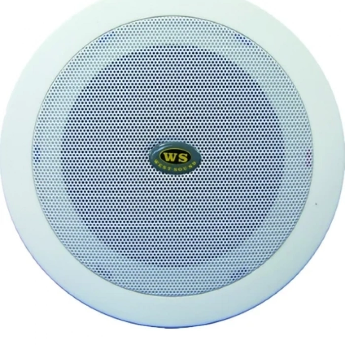 West Sound Th-06 Asma Tavan Tipi Hoparlör