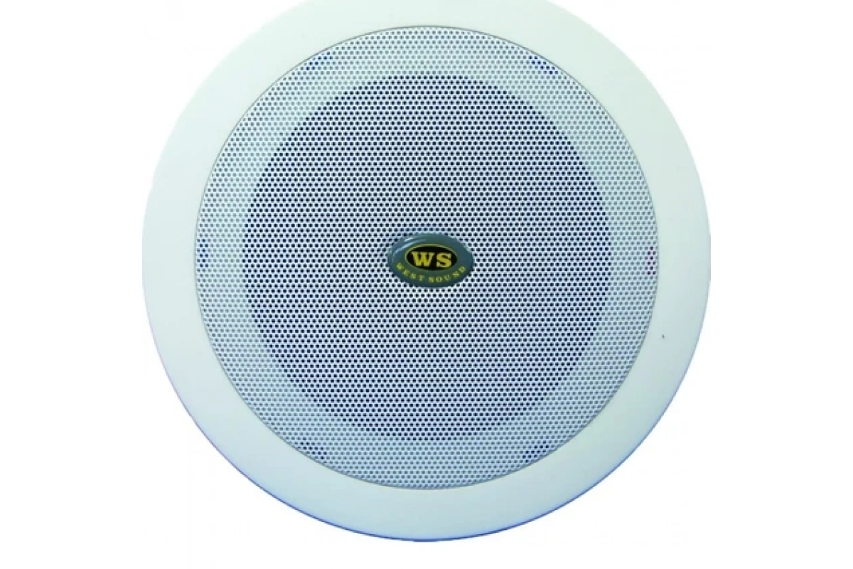 West Sound Th-06 Asma Tavan Tipi Hoparlör
