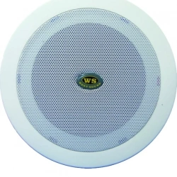 West Sound Th-06 Asma Tavan Tipi Hoparlör