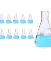 Cam Erlen (Erlenmeyer Flask) 100 mL - 10 Adetlik Toptan Set