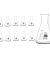 Cam Erlen (Erlenmeyer Flask) 250 mL - 10 Adetlik Toptan Set