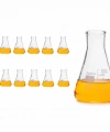 Cam Erlen (Erlenmeyer Flask) 50 mL - 10 Adetlik Toptan Set - Yüksek Kaliteli