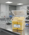 Otomatik Pipet Ucu 200 µl Sarı - Non Steril - 10.000 Adetlik Toptan Set