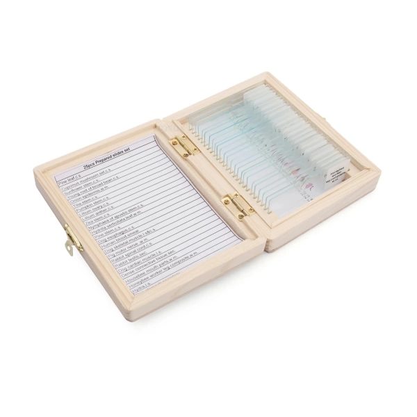 Ahşap Kutulu Mikroskop Slide/Slayt Seti - 25 Slaytlık Set