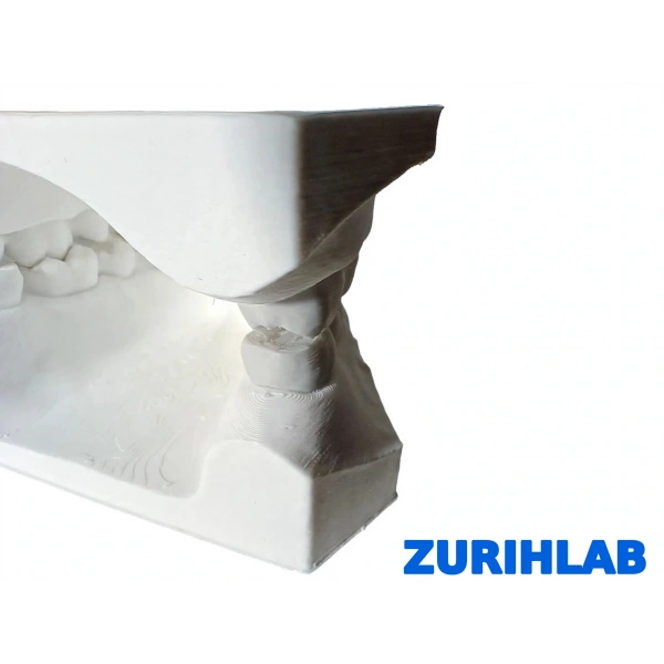 ZURIHLAB Diş Modeli - Alt ve Üst Çene Anatomik Eğitim Modeli