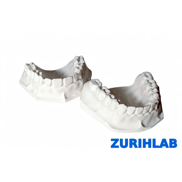 ZURIHLAB Diş Modeli - Alt ve Üst Çene Anatomik Eğitim Modeli