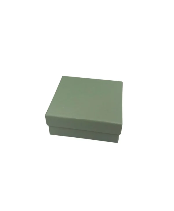 Yeşil Sert Kelepçe Kutusu 12 li Paket ( İçi Süngerli )