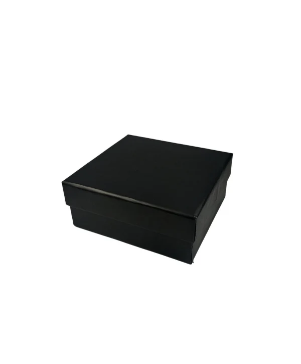 Mat Siyah Sert Kelepçe Kutusu 12 Li Paket ( İçi Süngerli )