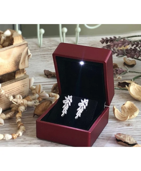 Işıklı Küpe Kutusu Kırmızı