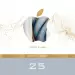 Apple iTunes Gift Card 25 EURO - Belgium