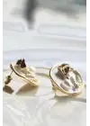 Vintage Kırmızı Gül Motifli 3d Tablo Tasarım Kadın Çelik Küpe Gold Kararmaz Renk Atmaz