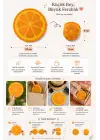 Japon Yelpazesi 20 cm Mini El Yelpazesi Kılıflı Çantalık Portakal Desenli Sunny Orange Aksesuar
