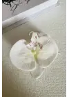 Orkide Çiçeği Tasarım Mandal Kadın Toka Ekru Kararmaz Renk Atmaz
