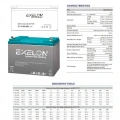 100 Amper 12 Volt Jel Akü Exelon