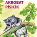 Akrobat Pisicik